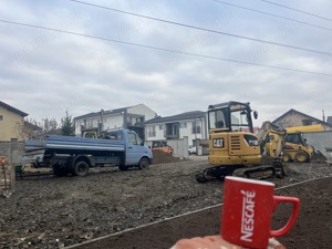 Tocator crengi -toaletare copaci=Servicii peisagistice  - imagine 2