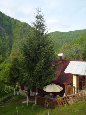 Cabana Vacanta in muntii Apuseni, comuna Vidra la 40 minute de Arieseni - imagine 2