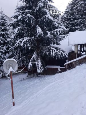 Cabana Vacanta in muntii Apuseni, comuna Vidra la 40 minute de Arieseni - imagine 3