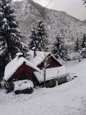 Cabana Vacanta in muntii Apuseni, comuna Vidra la 40 minute de Arieseni - imagine 4