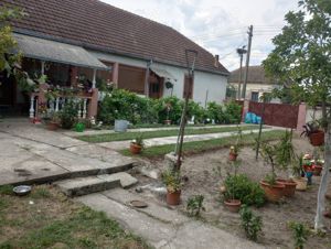 Vând casă Jamu Mare 4 camere,baie,bucătărie anexe,terasa ,teren 2880mp  - imagine 9