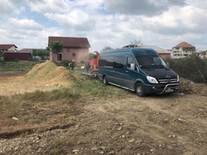 Tocator crengi -toaletare copaci=Servicii peisagistice  - imagine 4