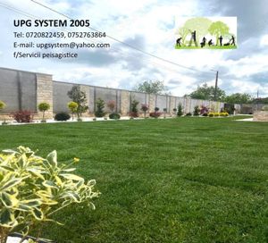 Tocator crengi -toaletare copaci=Servicii peisagistice  - imagine 5