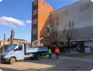 Tocator crengi -toaletare copaci=Servicii peisagistice 