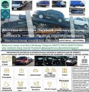 Transport auto utilaje mărfuri termopane paleti mutări 