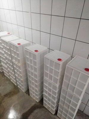 Vând brânză de vacă 