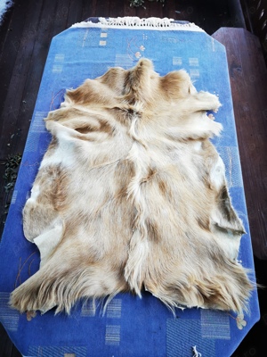 Covorașe din piele de ied - imagine 3