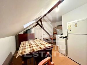 Apartament 2 camere in Iosefin, petfriendly - imagine 3