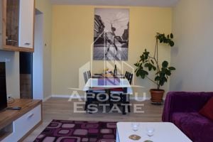 Apartament cu 2 camere, loc de parcare, Dumbravita - imagine 2