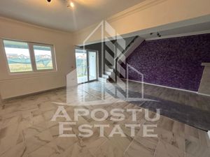 Casa de vanzare in Mosnita Noua, aproape de asfalt – 160 mp utili, - imagine 2