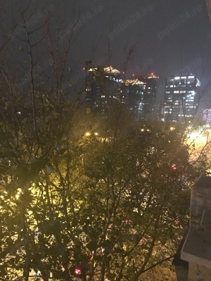 Calea Floreasca 114, Parc Floreasca, P-ta Dorobanti - Proprietar - imagine 9