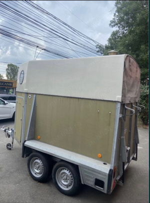 vand rulota cai westfali retro - imagine 5