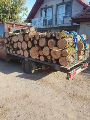 De vanzare lemne de padure, stejar