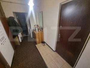 Apartament 2 camere decomandate, 57 mp, zona  Brazda-Marie Louise - imagine 8