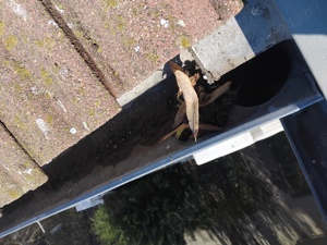  executam  reparati de urgență  sos  la bloc sau casa 