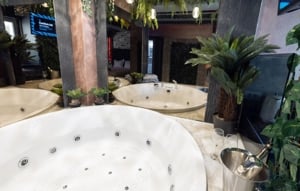 Regim hotelier jacuzzi - imagine 3