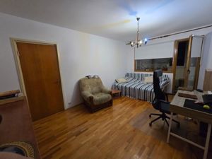 apartament 2 camere zona Camil Ressu - Pta Salajan - imagine 4