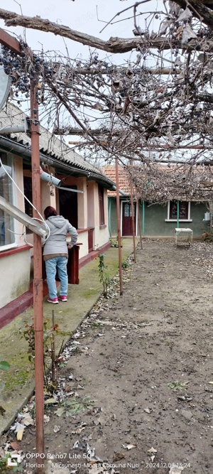 vând casă bătrânească in ilfov - imagine 3