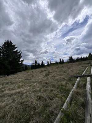 Teren agricol de vânzare în Panaci, Vatra Dornei   locul perfect pentru refugiul tău montan - imagine 2