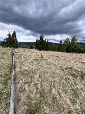 Teren agricol de vânzare în Panaci, Vatra Dornei   locul perfect pentru refugiul tău montan - imagine 6