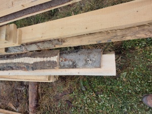 Schimb margini  pe cereale sau porci  - imagine 3 Schimb margini  pe cereale sau porci  - imagine 3