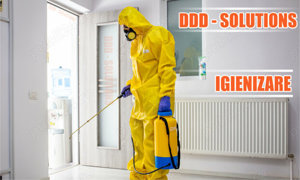 Dezinsectie. Deratizare Dezinfectie prin nebulizare, Preturi mici - imagine 3