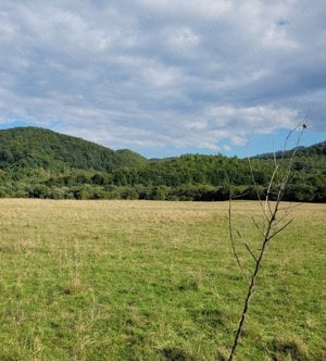 Vand urgent Teren Intravilan, Rasnov Glajarie, cu vedere spre Bucegi si Piatra Craiului