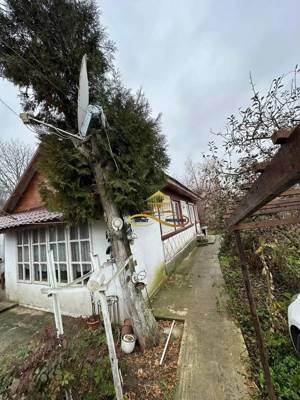 Casa batraneasca in Valea Seaca , la 3,9km de e85 , 2858 mp teren - imagine 3