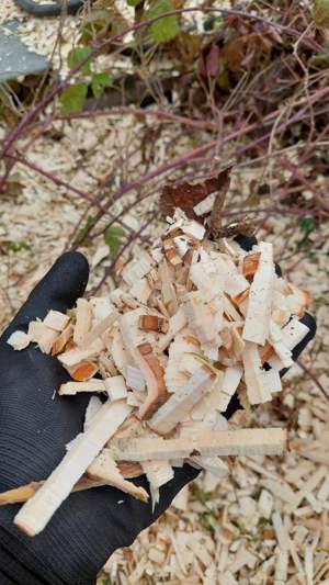 Tocator crengi benzina P42 - imagine 2