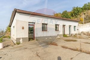 Spațiu industrial de vanzare in exclusivitate 0% Comision Paulis, Arad - imagine 18