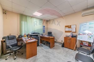 Spațiu industrial de vanzare in exclusivitate 0% Comision Paulis, Arad - imagine 10