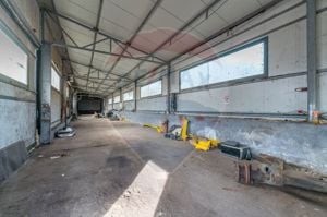 Spațiu industrial de vanzare in exclusivitate 0% Comision Paulis, Arad - imagine 6