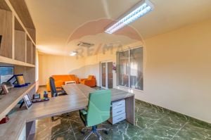 Spațiu industrial de vanzare in exclusivitate 0% Comision Paulis, Arad - imagine 8