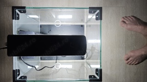 Acvariu Pești 30 litri - imagine 4 Acvariu Pești 30 litri - imagine 4