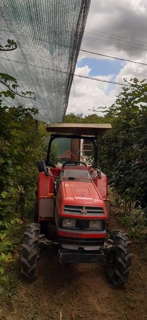 Teren extravilan in Baicoi 10.000mp plantatie mure --90.000e - imagine 17