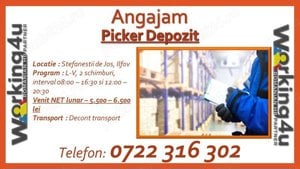 Picker Depozit - Stefanestii de Jos