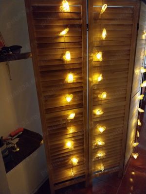 Vand paravan decorativ