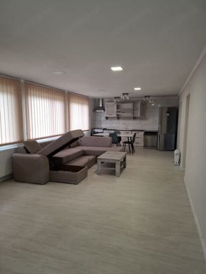 Carani [ Sanandrei ]   Casa 8  Camere   Teren - imagine 2