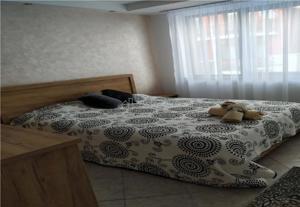 Casa Vila 5 Camere,4 bai- Tohanul Nou - Brasov - imagine 5