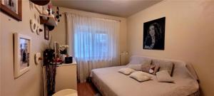 Apartament 4 camere, Tip PB,parter inalt,zona Calea Aradului - imagine 13