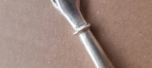 Thora silver aratator