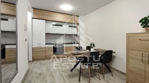 Apartament cu 2 camere, living open space, in Adora Park - imagine 9