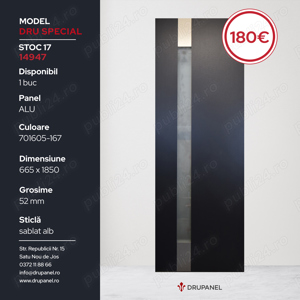 Paneluri usa intrare - imagine 3