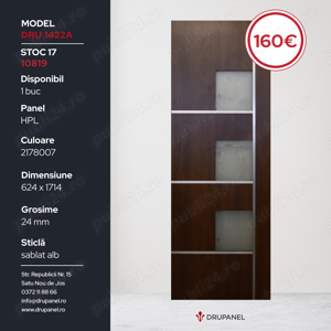 Paneluri usa intrare - imagine 4