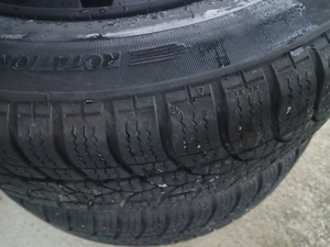 Roti iarna - imagine 5