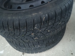 Roti iarna - imagine 2