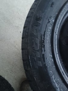 Roti iarna - imagine 3