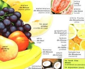 Meditații la engleză | germană (nivel intermediar)