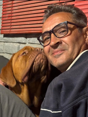 Vând Dog de Bordeaux  - imagine 5