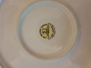 Platou Pachira Aquatica firma olandeza Ter Steege Olanda  - imagine 2